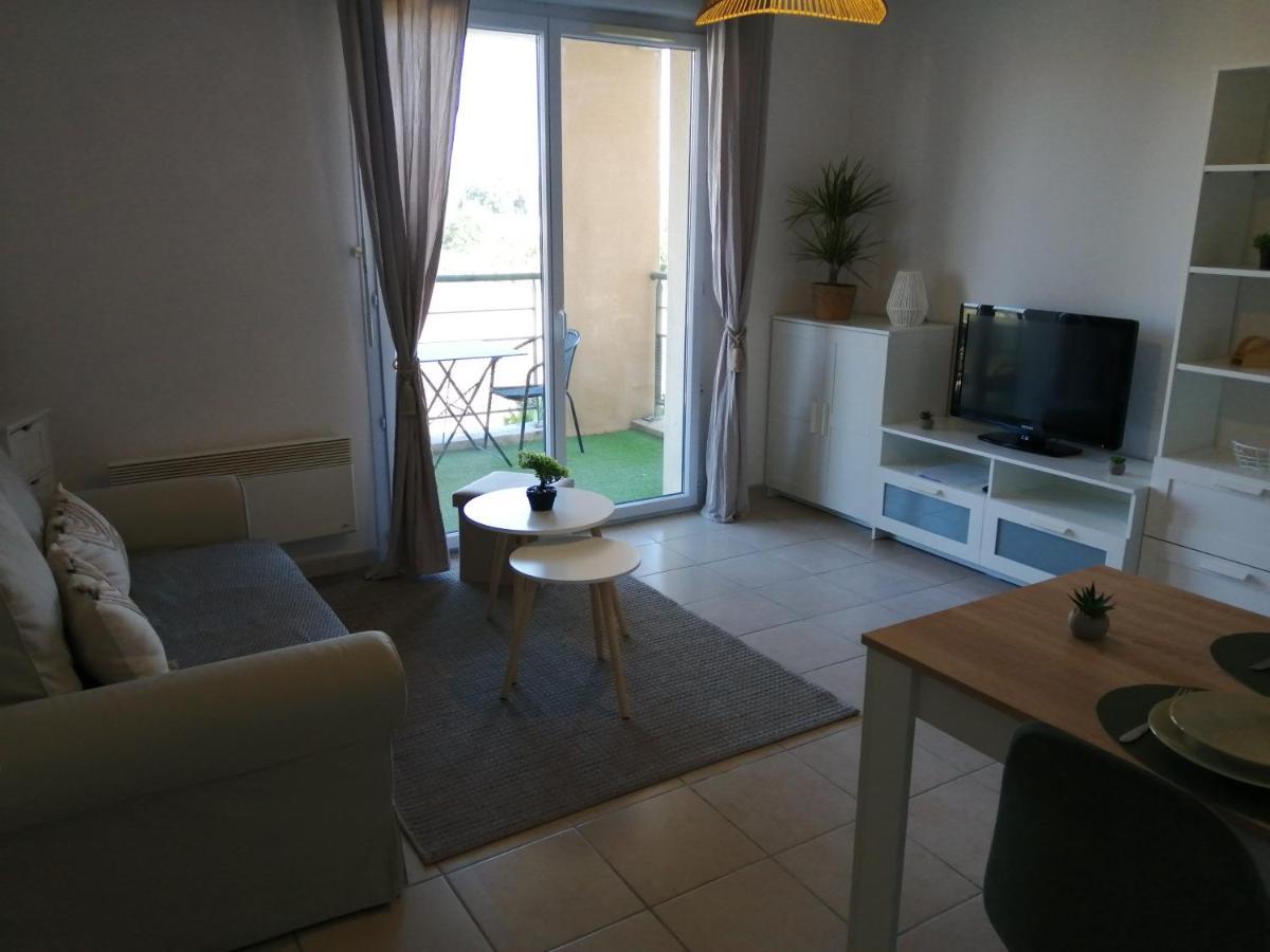 Appartamento Le Cocon De Marie,Piscine, Balcon, Parking Gratuit, Baignoire Carcassonne Esterno foto