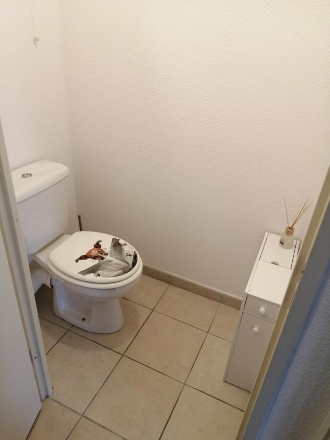 Appartamento Le Cocon De Marie,Piscine, Balcon, Parking Gratuit, Baignoire Carcassonne Esterno foto
